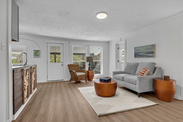 living room with a textured ceiling, crown molding, sink, and wood-type flooring