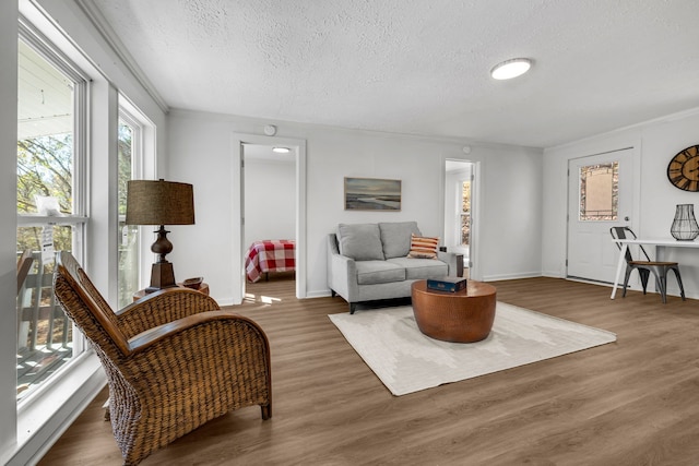 living room with wood-type flooring, a textured ceiling, and ornamental molding