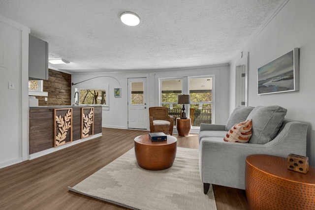 living room featuring crown molding, dark wood-type flooring, sink, and a textured ceiling