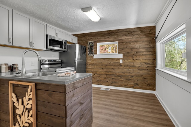 kitchen with a textured ceiling, wood walls, wood-type flooring, sink, and appliances with stainless steel finishes