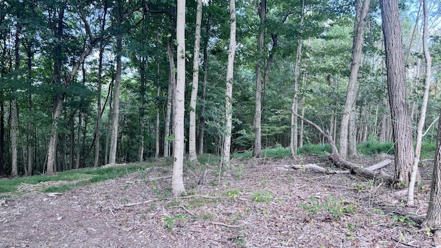 2480 Claylick Rd, Whites Creek, TN 37189 - photo 25
