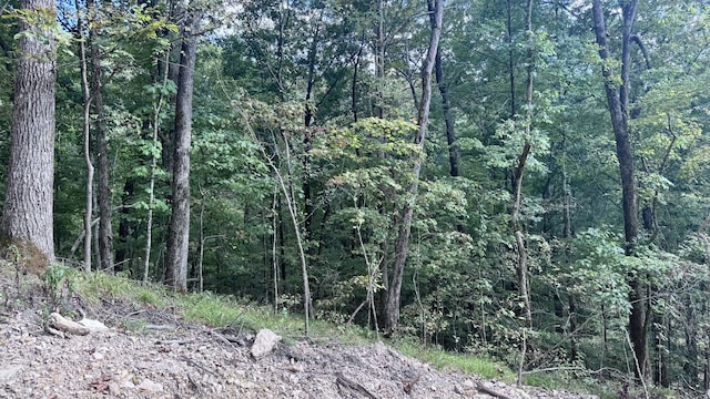 2480 Claylick Rd, Whites Creek, TN 37189 - photo 51