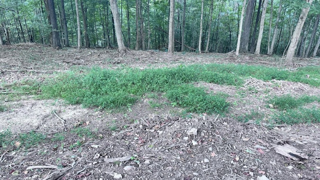 2480 Claylick Rd, Whites Creek, TN 37189 - photo 29