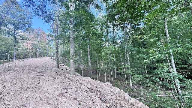 2480 Claylick Rd, Whites Creek, TN 37189 - photo 57