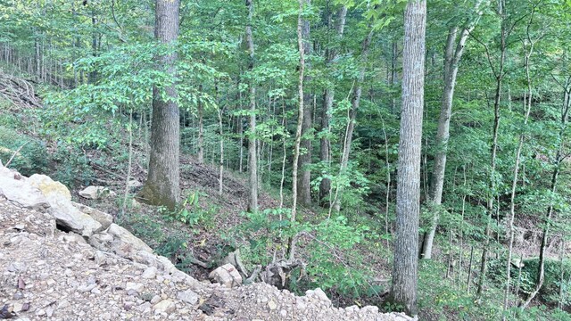 2480 Claylick Rd, Whites Creek, TN 37189 - photo 53