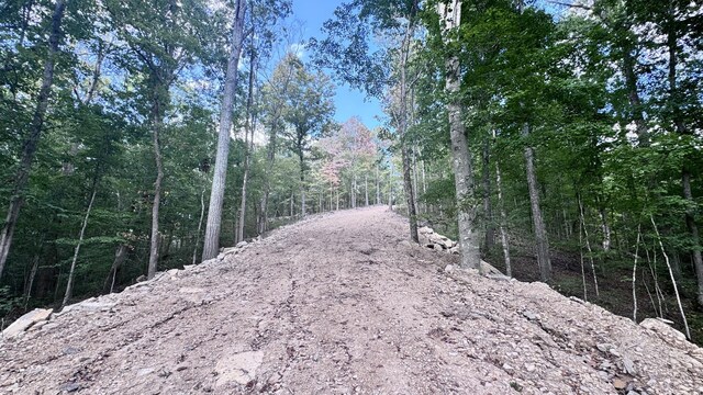 2480 Claylick Rd, Whites Creek, TN 37189 - photo 1
