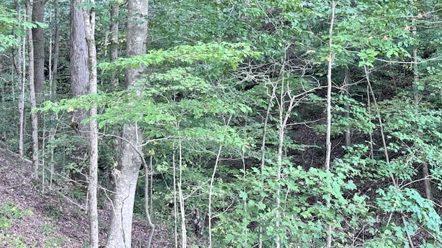 2480 Claylick Rd, Whites Creek, TN 37189 - photo 55