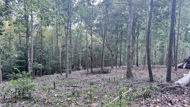 2480 Claylick Rd, Whites Creek, TN 37189 - photo 32