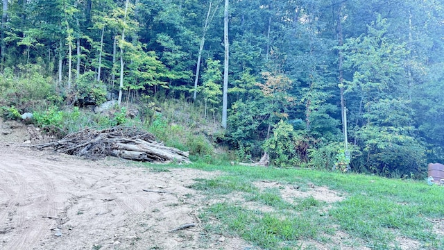 2480 Claylick Rd, Whites Creek, TN 37189 - photo 10