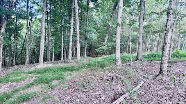 2480 Claylick Rd, Whites Creek, TN 37189 - photo 28