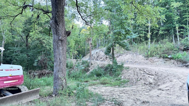 2480 Claylick Rd, Whites Creek, TN 37189 - photo 14