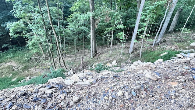 2480 Claylick Rd, Whites Creek, TN 37189 - photo 58