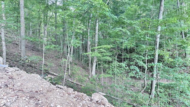 2480 Claylick Rd, Whites Creek, TN 37189 - photo 54