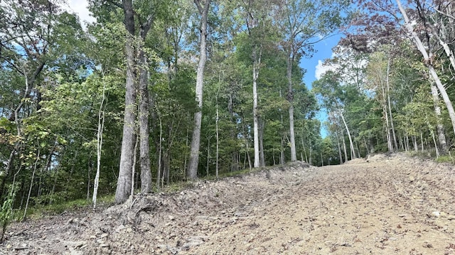 2480 Claylick Rd, Whites Creek, TN 37189 - photo 50