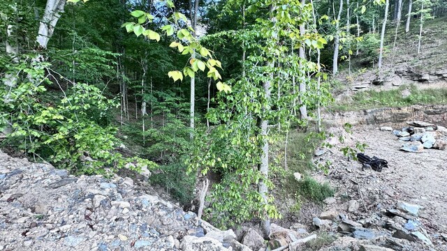2480 Claylick Rd, Whites Creek, TN 37189 - photo 60