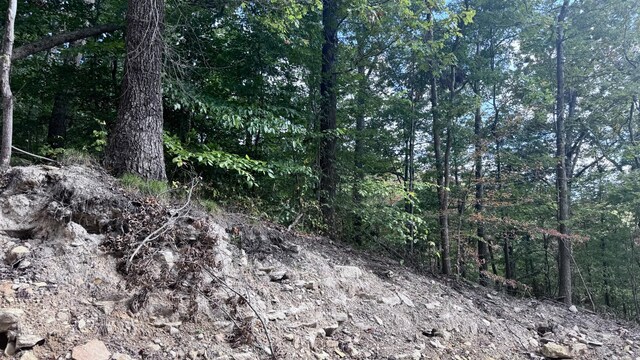 2480 Claylick Rd, Whites Creek, TN 37189 - photo 44