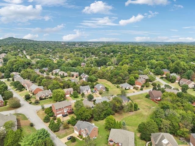 bird's eye view