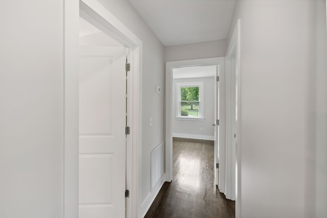 hallway featuring dark wood-type flooring