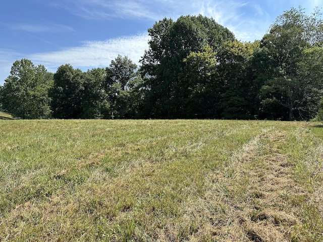 0 Hallie Fox Ln, Lafayette TN, 37083 land for sale