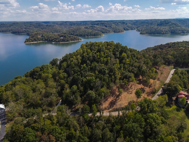 0 Harbor Pointe Dr, Silver Point TN, 38582 land for sale