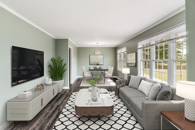 living room with crown molding and dark wood-type flooring