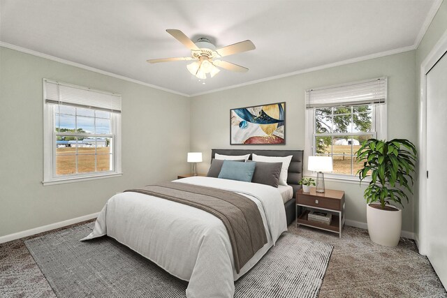 bedroom featuring carpet flooring, multiple windows, ceiling fan, and crown molding