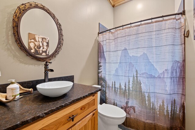 bathroom featuring vanity, toilet, and a shower with shower curtain