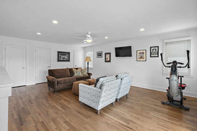 living room with ceiling fan and wood-type flooring