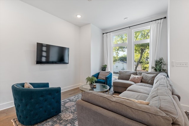 living room with hardwood / wood-style flooring