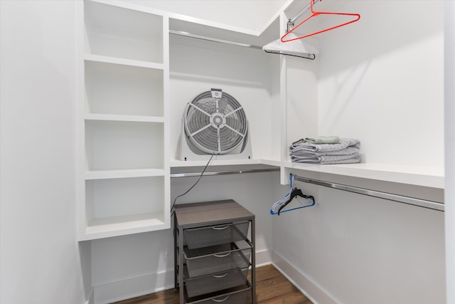 spacious closet with dark wood-type flooring