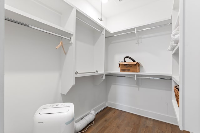 spacious closet featuring dark wood-type flooring