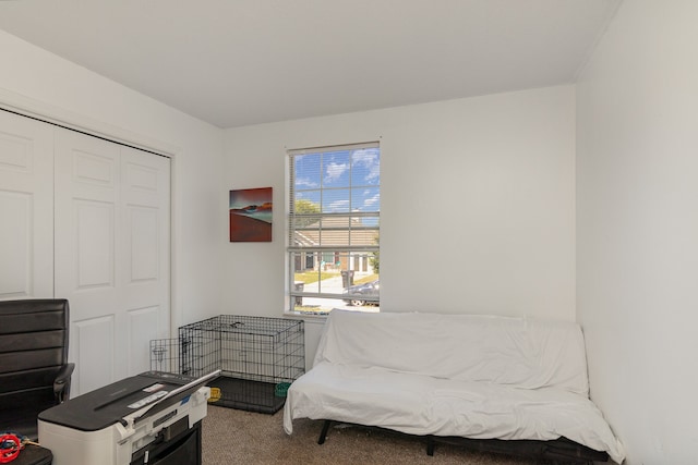 bedroom featuring carpet and a closet