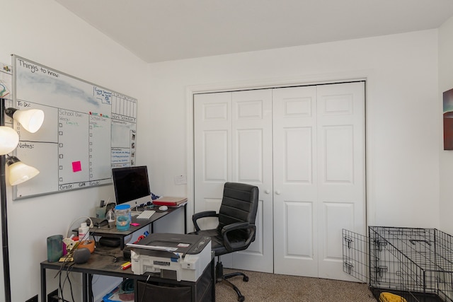 office space featuring carpet flooring