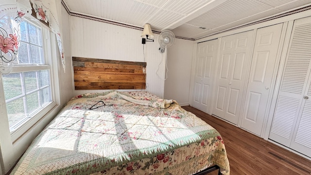 bedroom featuring multiple windows and dark wood-type flooring