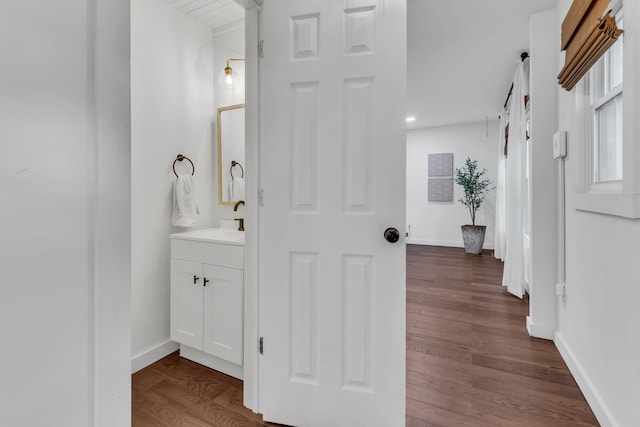 bathroom with hardwood / wood-style floors and vanity