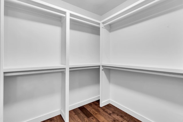 spacious closet with dark wood-style floors