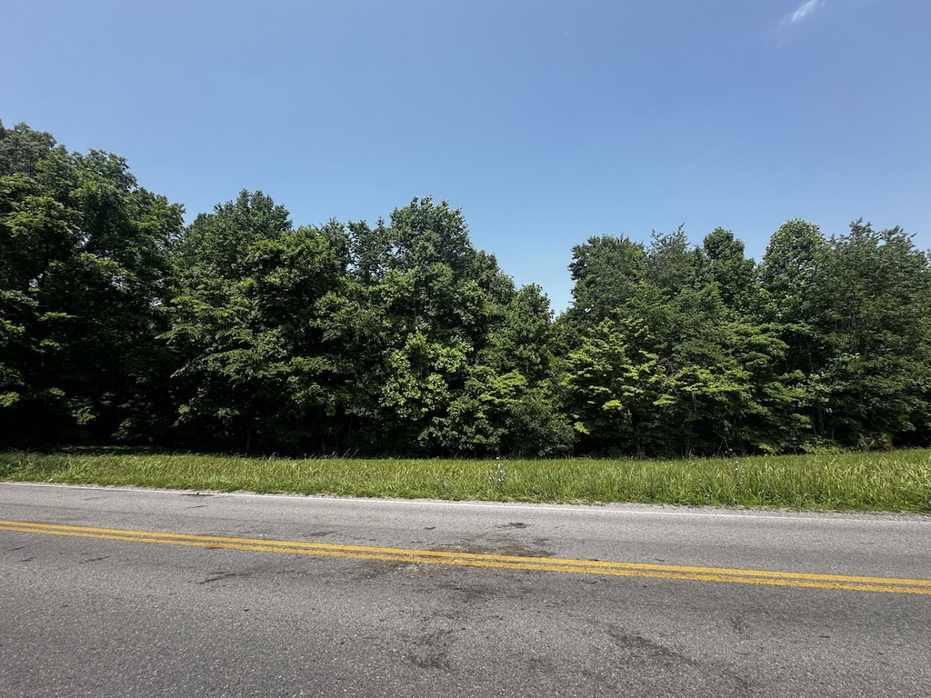 0 Dotsonville Rd, Clarksville, TN 37042 - photo 1