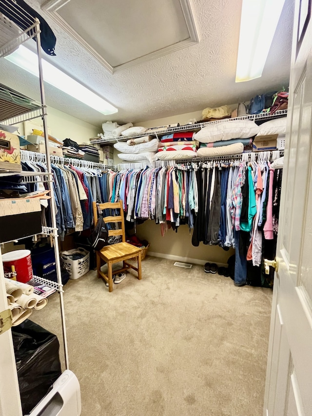 walk in closet featuring carpet floors