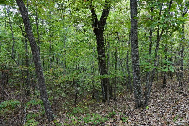 0 Bakerville Rd, Waverly, TN 37185
