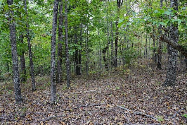 0 Bakerville Rd, Waverly, TN 37185