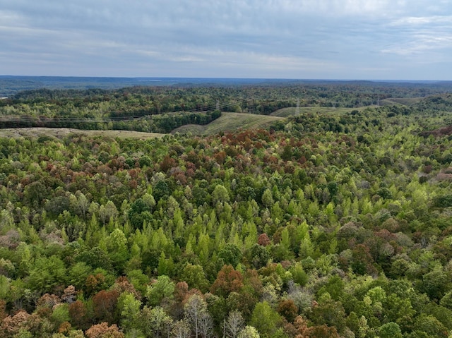 0 Bakerville Rd, Waverly, TN 37185