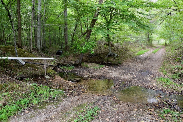 0 Bakerville Rd, Waverly, TN 37185