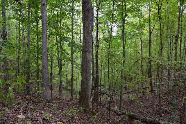 0 Bakerville Rd, Waverly, TN 37185