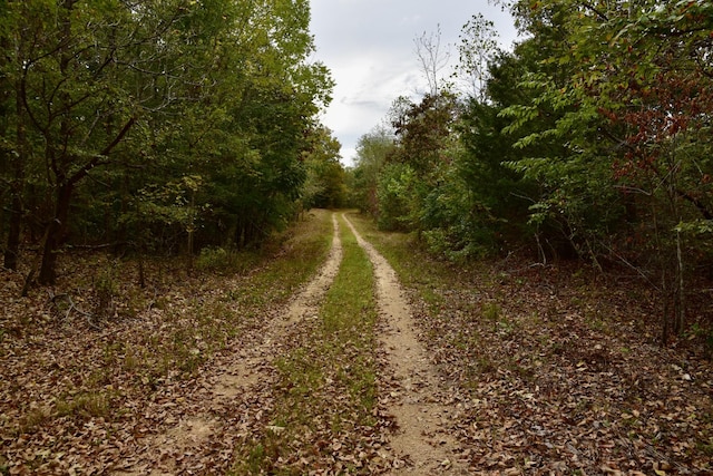 0 Bakerville Rd, Waverly, TN 37185