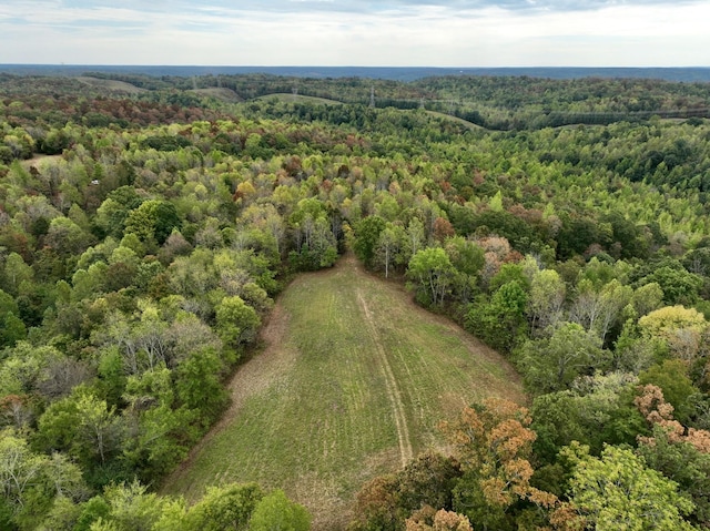 0 Bakerville Rd, Waverly, TN 37185