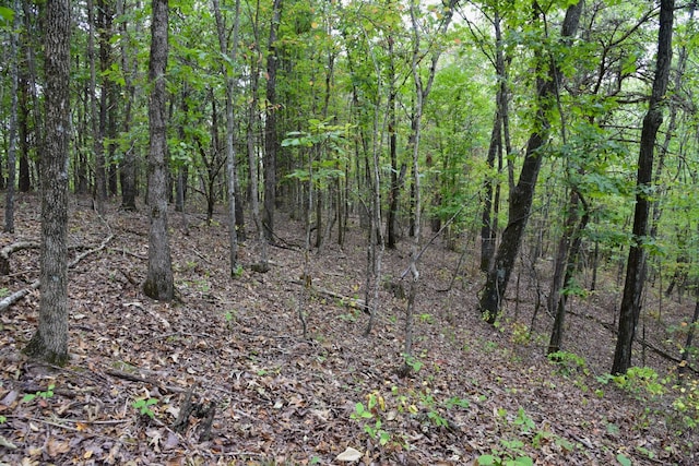 0 Bakerville Rd, Waverly, TN 37185