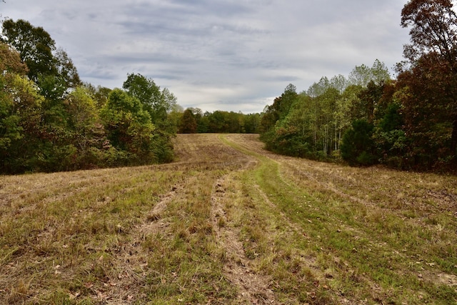 0 Bakerville Rd, Waverly, TN 37185