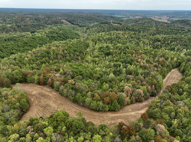 0 Bakerville Rd, Waverly, TN 37185