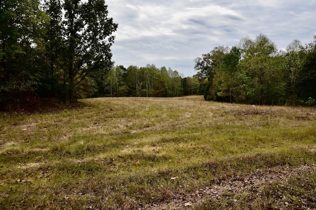 0 Bakerville Rd, Waverly, TN 37185