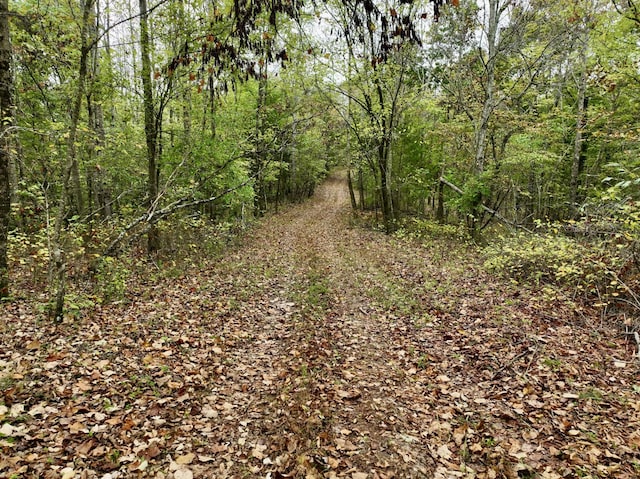 0 Bakerville Rd, Waverly, TN 37185
